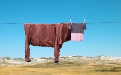 С 2025 года семейные врачи будут оказывать помощь при психических расстройствах