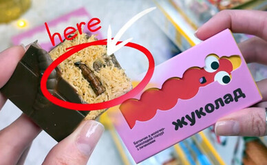В Киеве и Львове начали продавать шоколад с личинками жуков