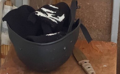 Полиция подтвердила, что к нападению в школе №233 причастны вражеские спецслужбы