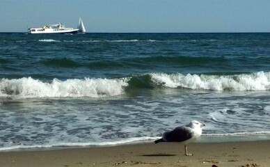 В Одессе резко похолодало и вернулись метели после короткого потепления