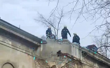 У Дніпрі підлітки затягли собаку на дах покинутої будівлі — тварину рятували надзвичайники