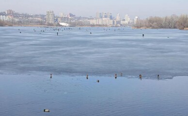 В Днепре десятки людей вышли на лед во время оттепели и рисковали жизнью