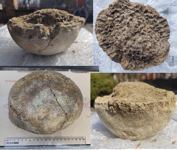 На Київщині військові знайшли кістку мамонта віком 25 тисяч років