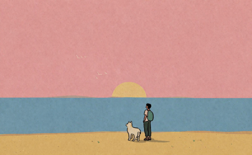 ДТЕК оновив графіки відключень світла у Дніпрі