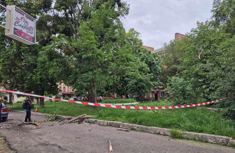 У Полтаві виділили ще 200 тис грн на лікування хлопчика, якого травмувало дерево