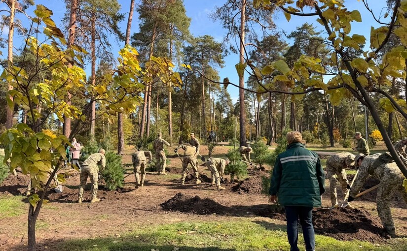 У парку «Партизанська слава» в Києві після ракетної атаки висадили 120 сосен