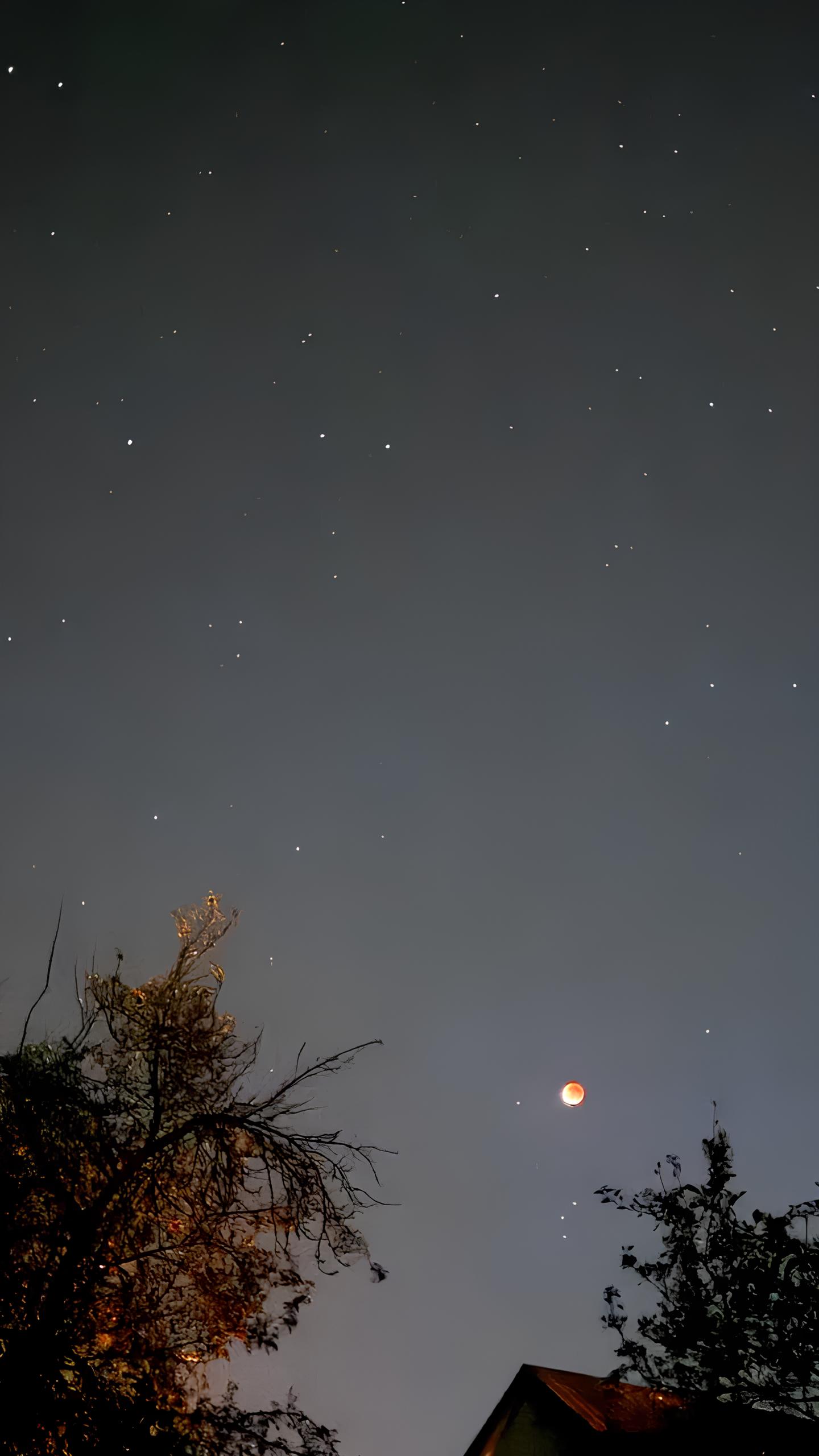 Пропустили червоний Місяць? Дивіться, як виглядало криваве затемнення над Україною фото 5 4