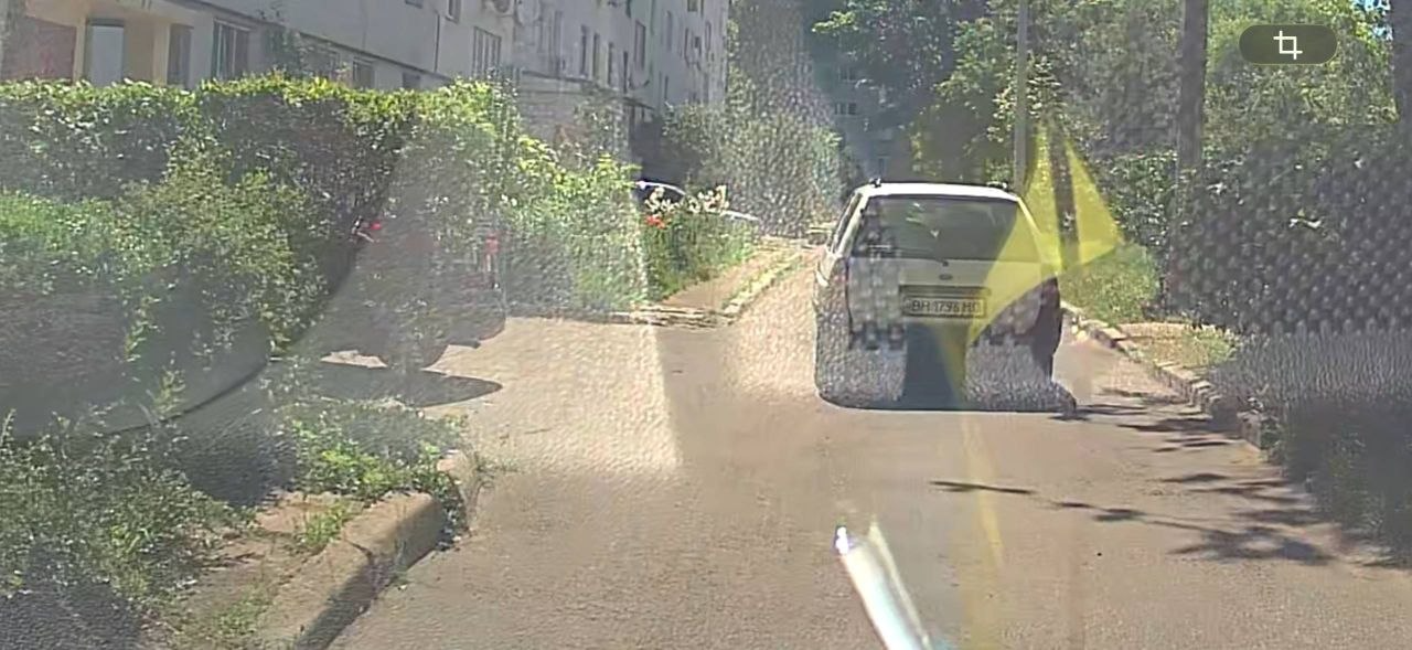 В Одесской области водитель во время движения выбросил из автомобиля трех котят: один из малышей не выжил - фото