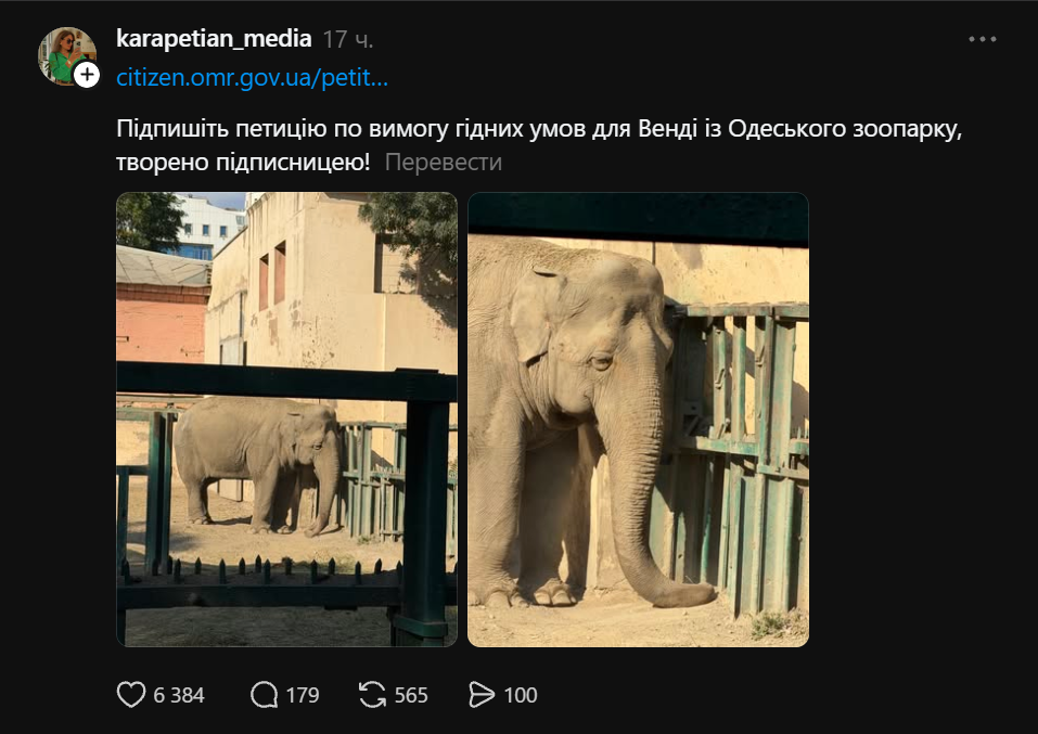 Одиночество и стресс слонихи Венди всколыхнули скандальный Одесский зоопарк фото 1